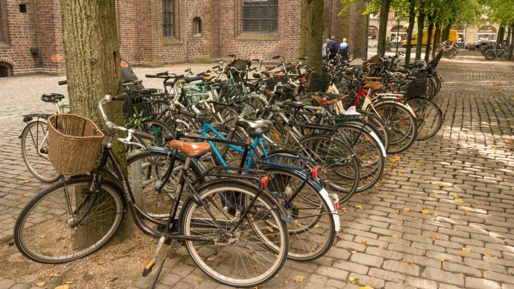 Used Bike In Denmark