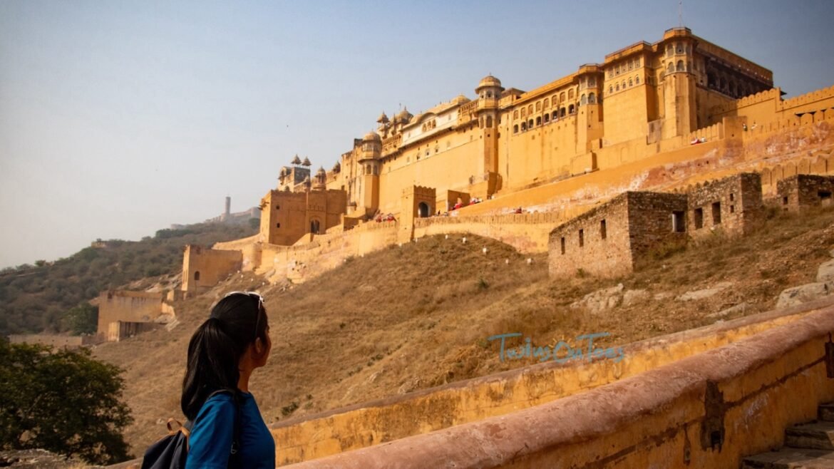 Amber fort and palace, Jaipur
