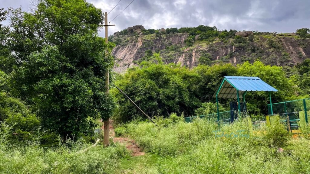 Bananthimari Betta trek route entry gate