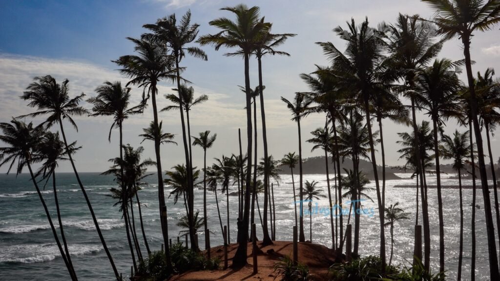 Coconut tree hill, Mirissa