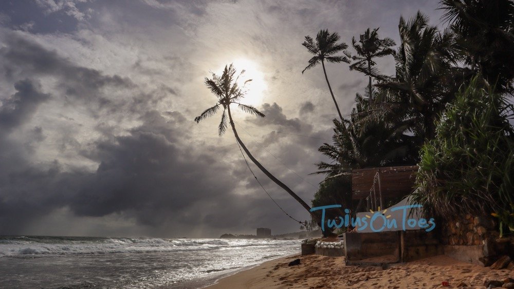 Dalawella beach rope swing