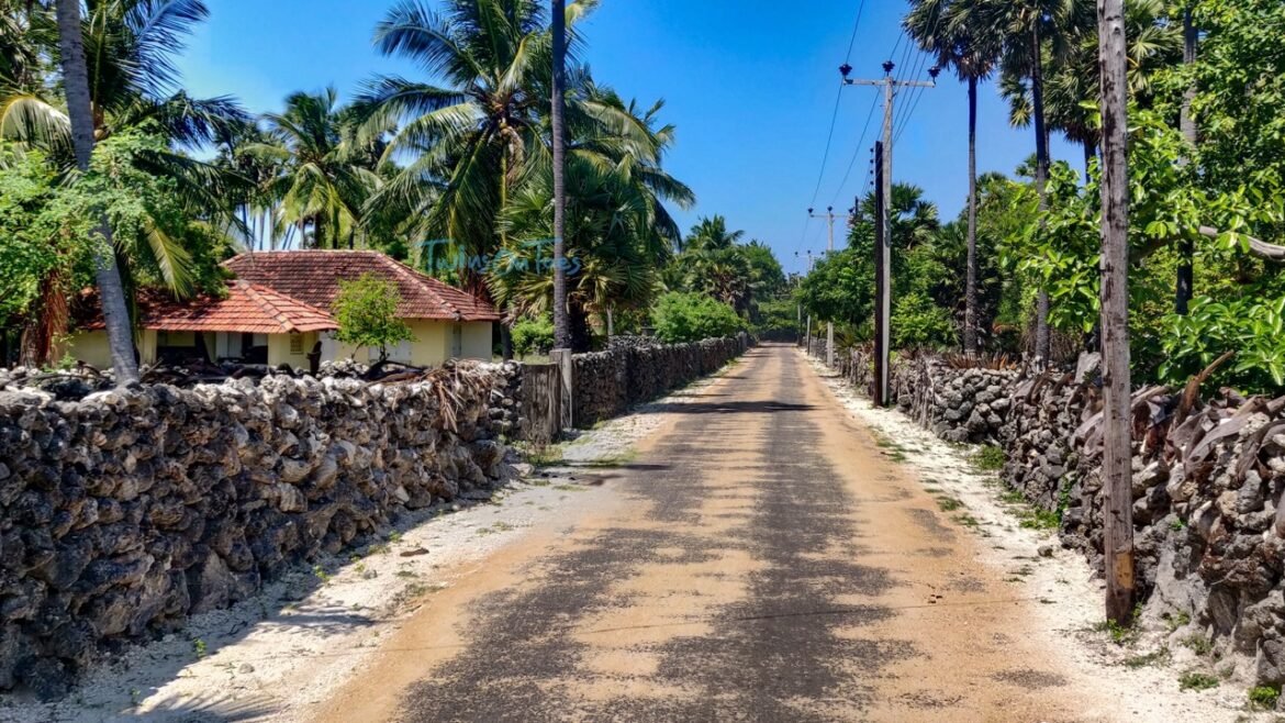 Delft Island Or Neduntheevu: All You Need To Know