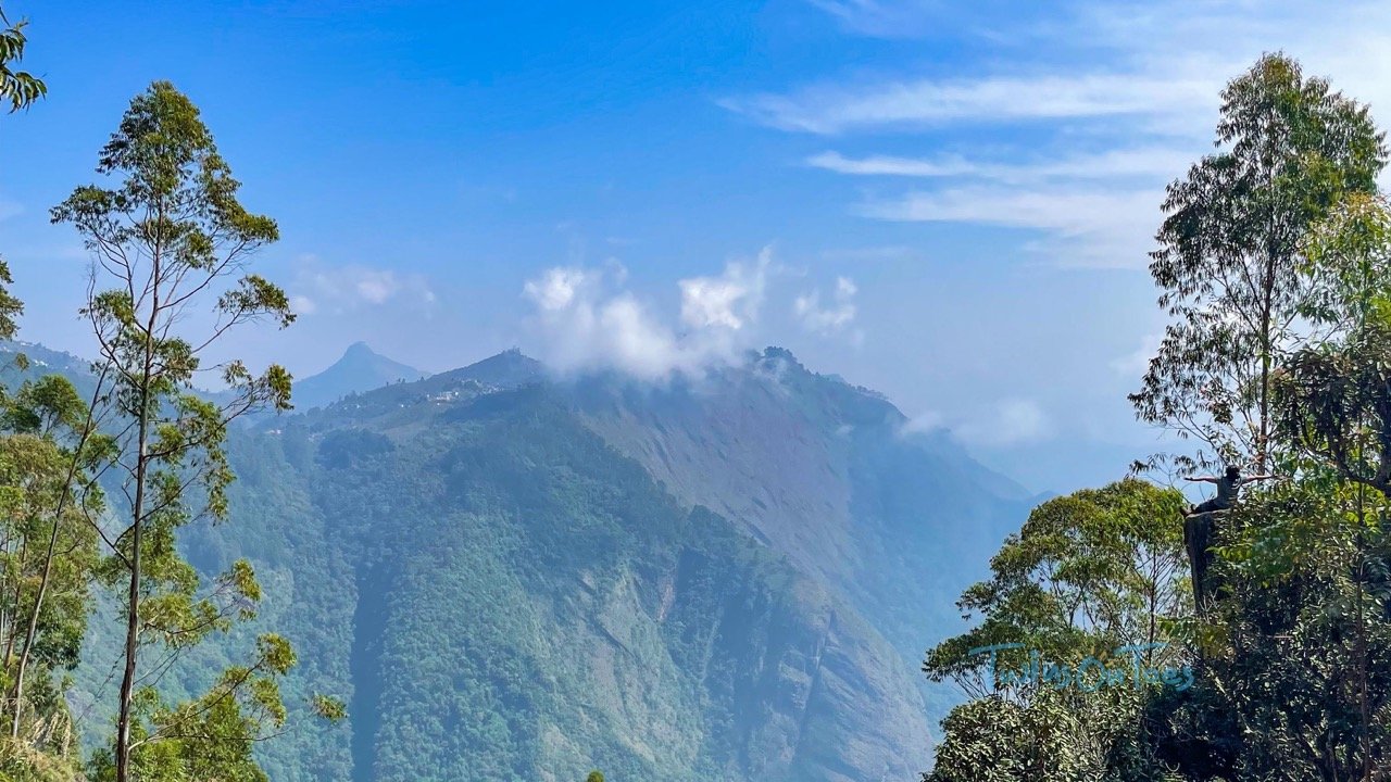 A Hiking Guide To Vellagavi, A Hidden Hamlet Near Kodaikanal
