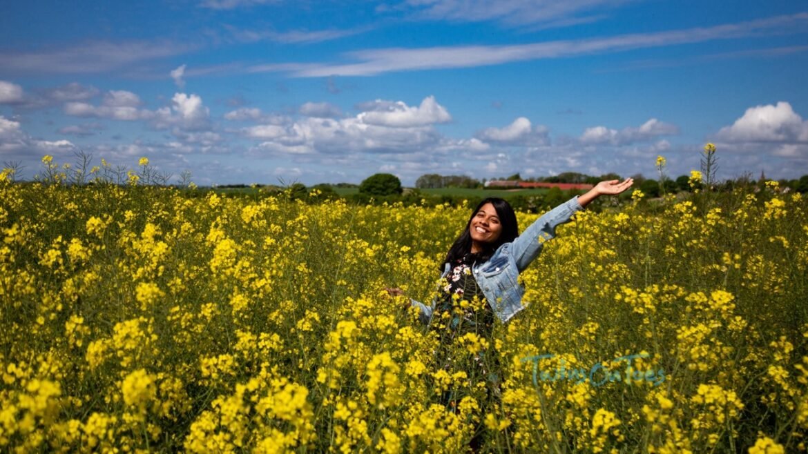 Things To Do On Ven Island