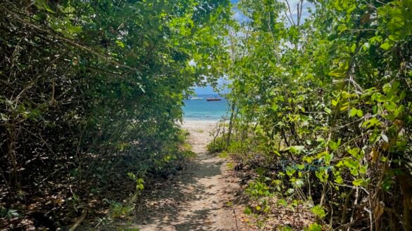 Havelock Island, Andaman and Nicobar Island