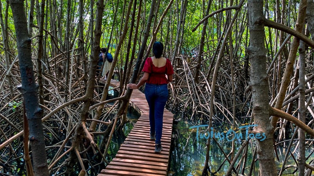 Honnavar and Apsarakonda travel guide