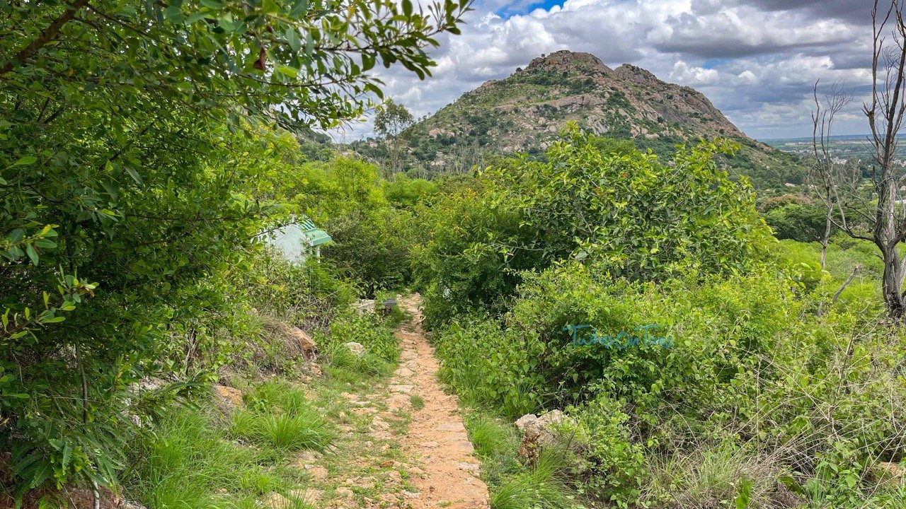 The view of Kaiwara Hills