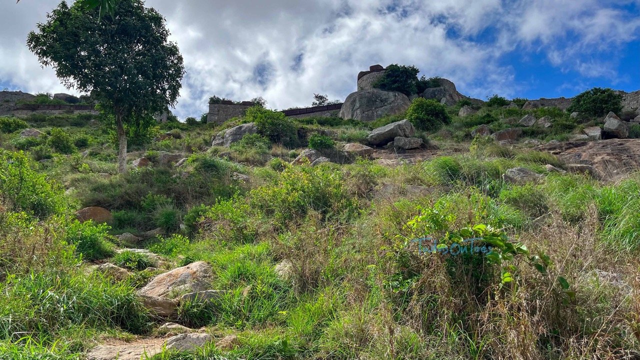 The view of Kaiwara Hills