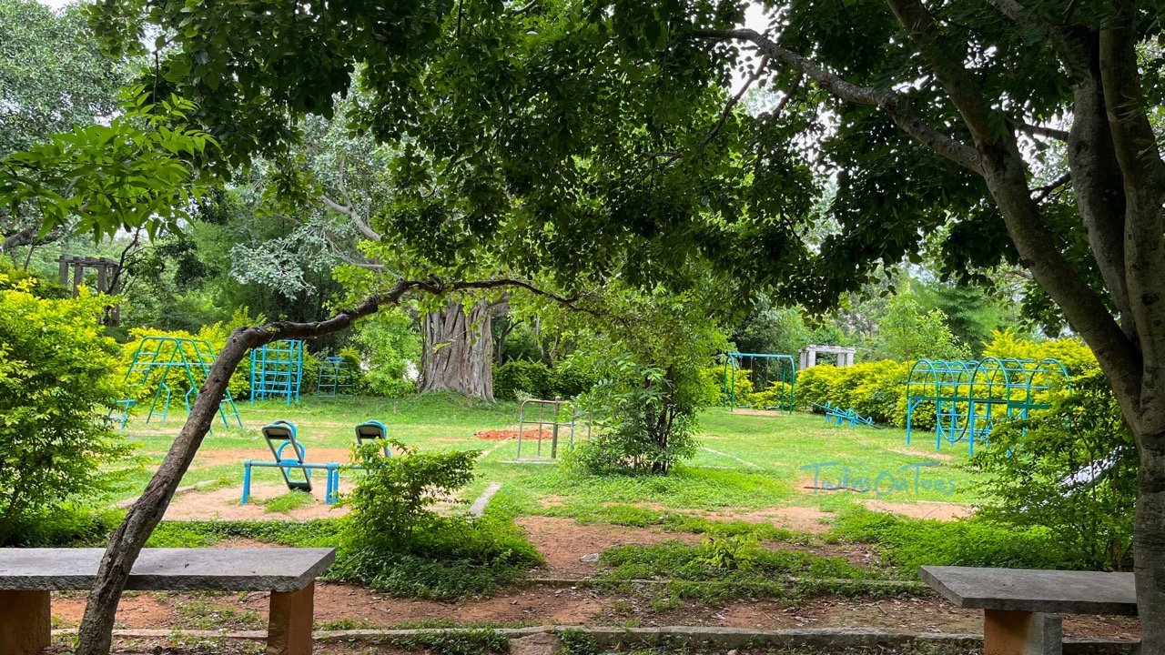 Kaiwara Tapovana tree park - children's play area