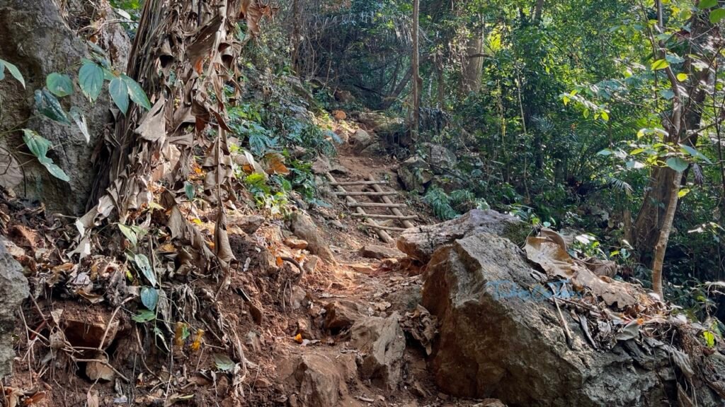 Ladders kept at steep sections
