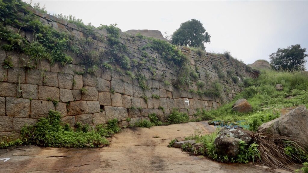 minchakallu betta fort walls - TwinsOnToes Minchakallu Betta Fort walls