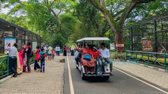 Top 15 Things to do in Mysore city, Karnataka