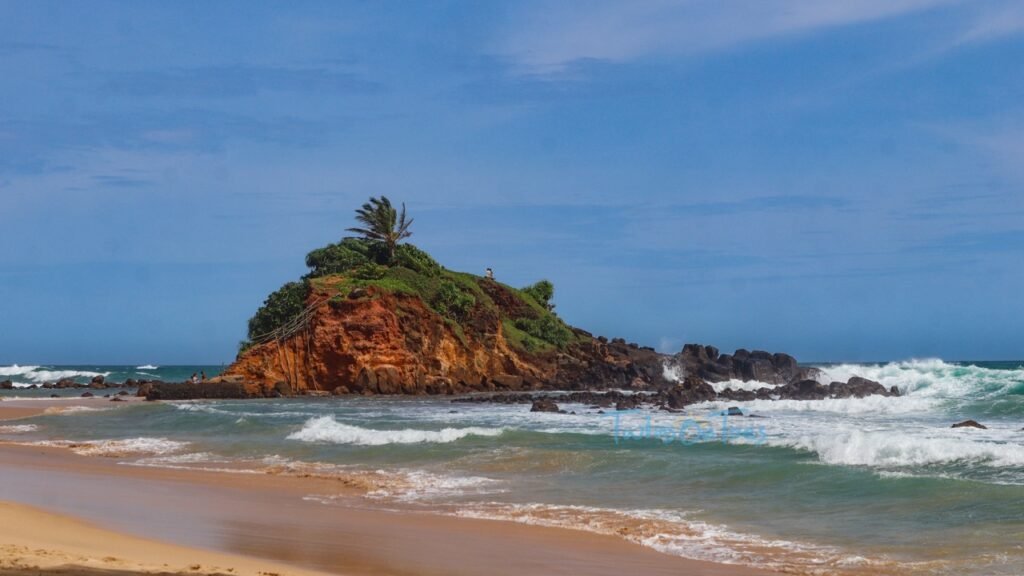 Parrot rock, Mirissa