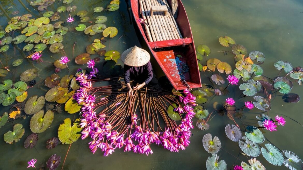 Things to do in Tam Coc, Ninh BInh