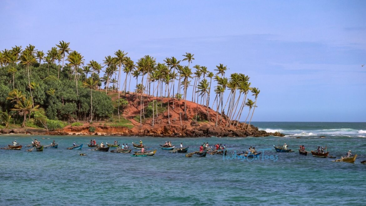 Mirissa Travel Guide - places to visit