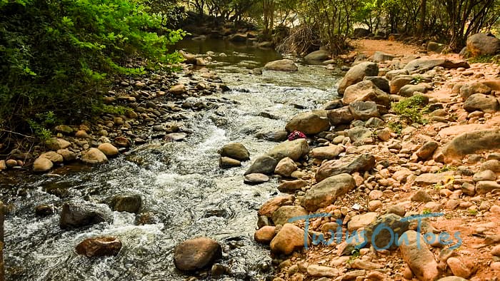 Puliyancholai water stream and trekking path