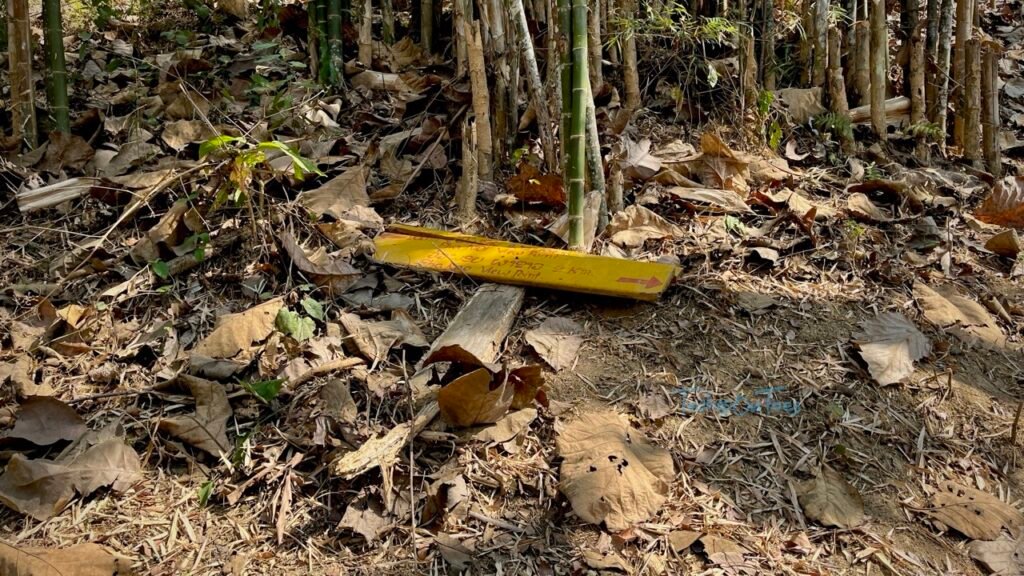 route split along the hike