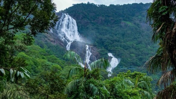 Side view of Dudhsagar waterfalls railway trek