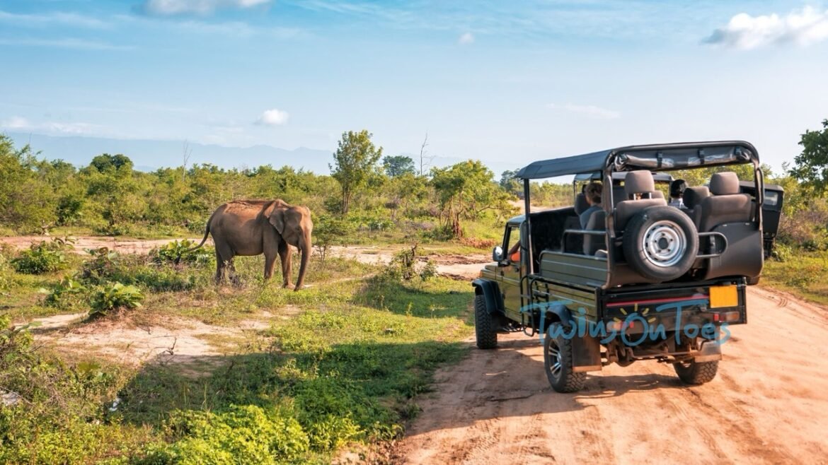 Frequently Asked Questions about wildlife safari in Sri Lanka