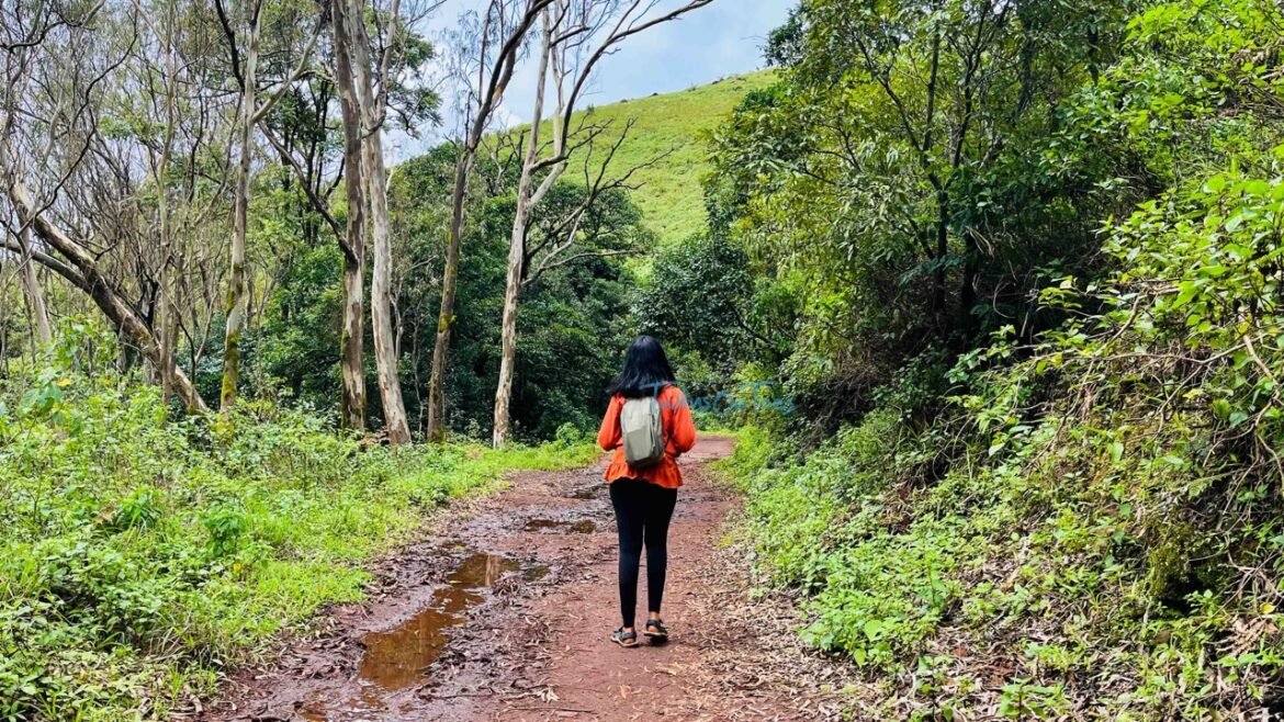 hiking at Z-point - day hike backpack