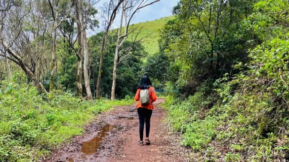 hiking at Z-point - day hike backpack